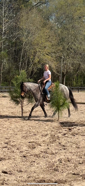 Dressage clinic with Cindy Thaxton — developing collection