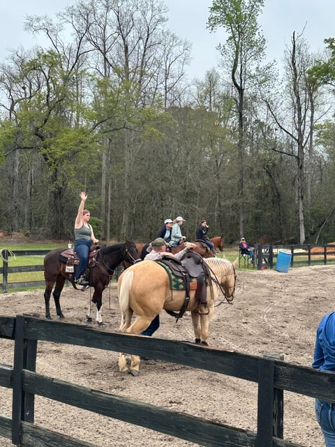 Clinic participants watching a demonstration in the arena