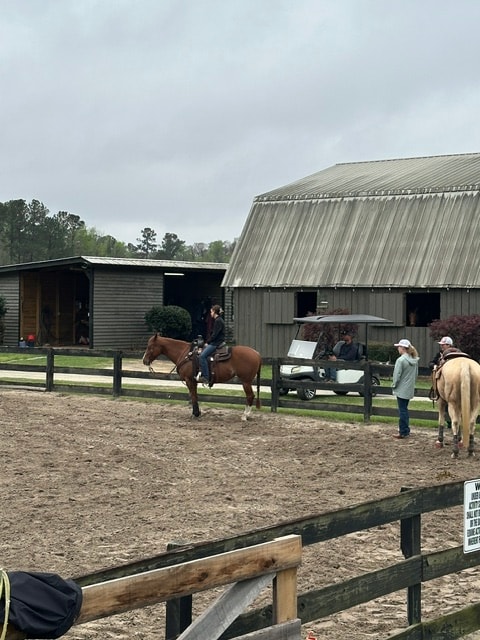 Hands-on instruction during a Mill Creek horsemanship clinic