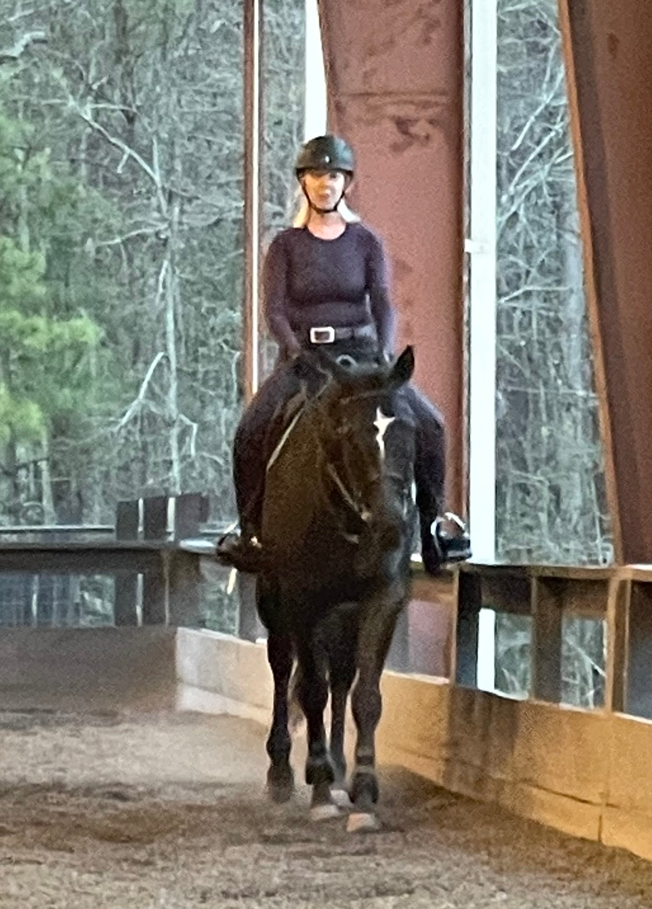 Show jumping — horse and rider clearing the oxer