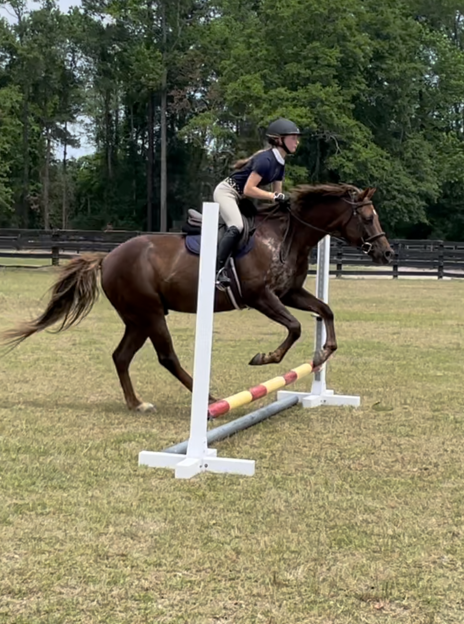 Dressage flatwork in the outdoor arena