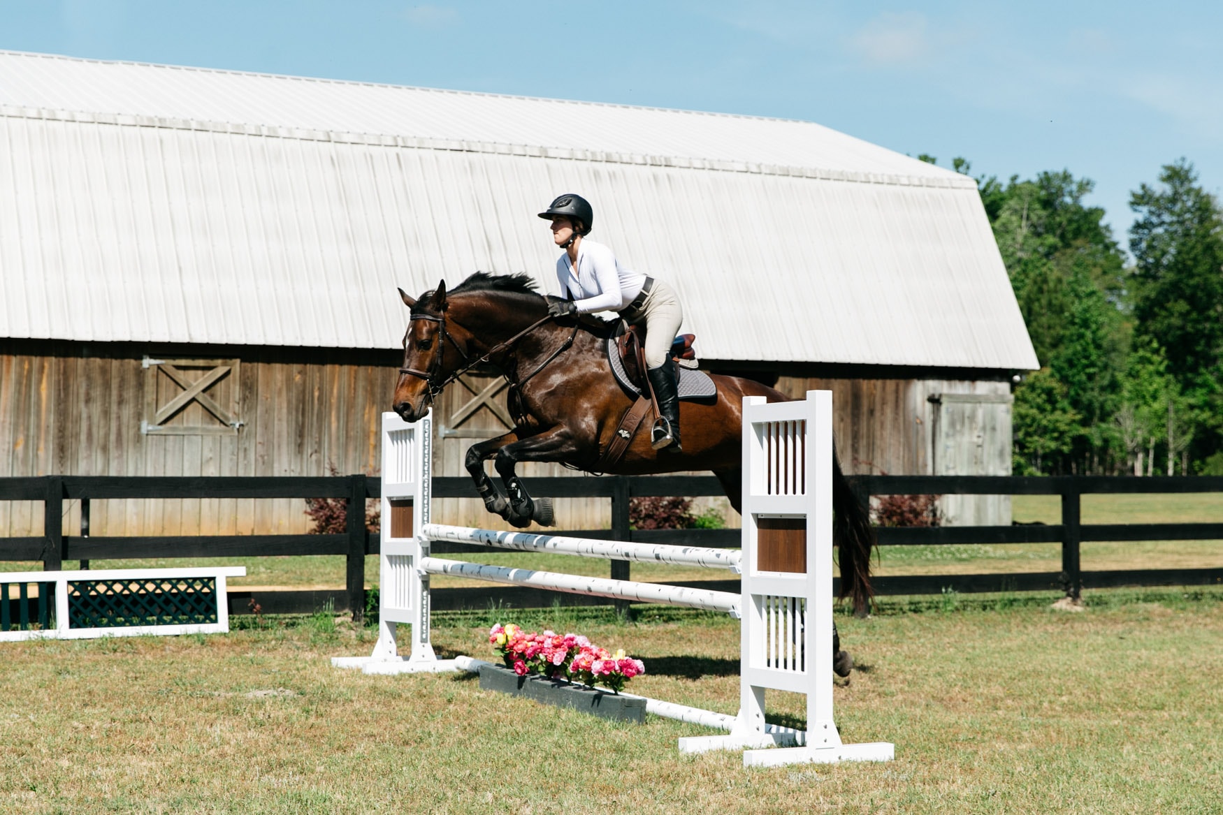 Cross-country schooling on the Mill Creek property