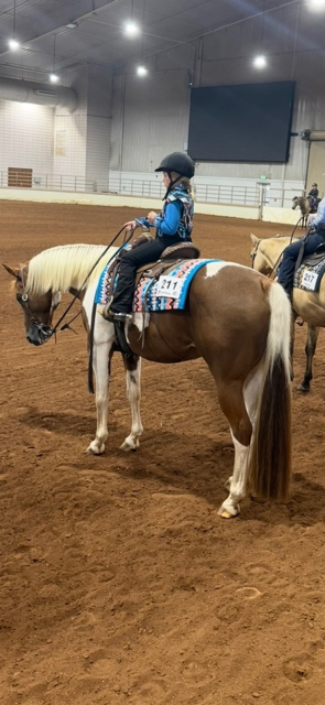 Cow horse work — reading and working cattle