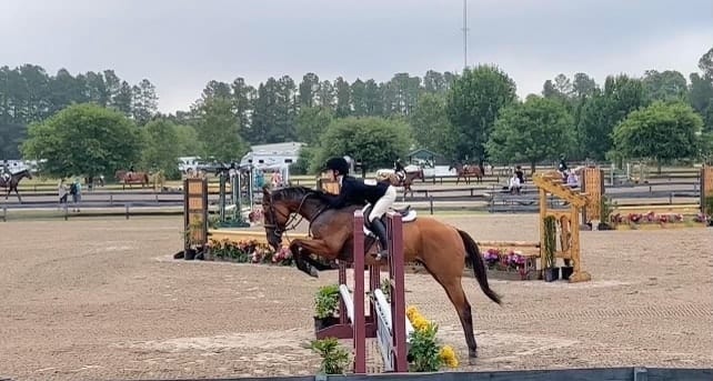 Ranch riding and cow horse work